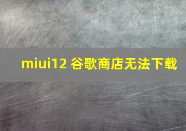 miui12 谷歌商店无法下载