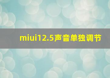 miui12.5声音单独调节