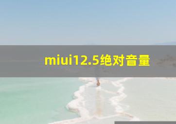 miui12.5绝对音量