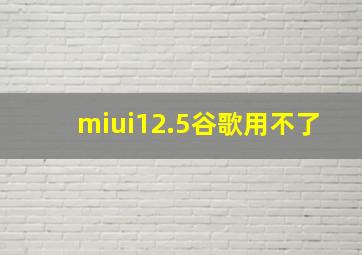 miui12.5谷歌用不了