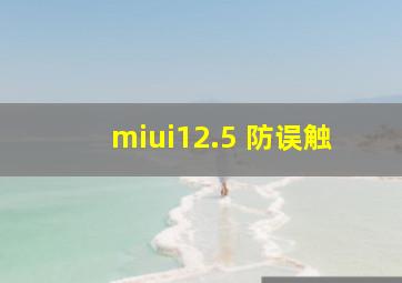 miui12.5 防误触