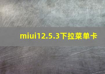 miui12.5.3下拉菜单卡