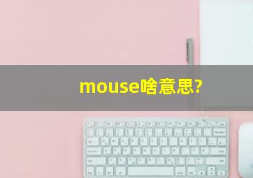 mouse啥意思?