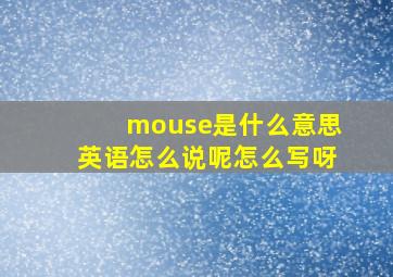 mouse是什么意思英语怎么说呢怎么写呀