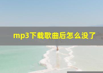 mp3下载歌曲后怎么没了