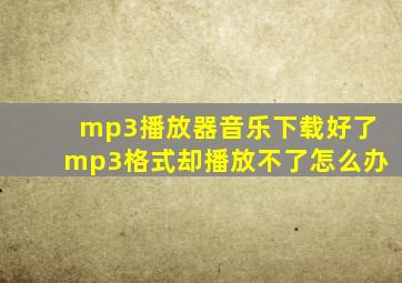 mp3播放器音乐下载好了mp3格式却播放不了怎么办