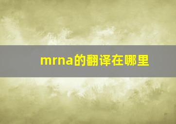 mrna的翻译在哪里