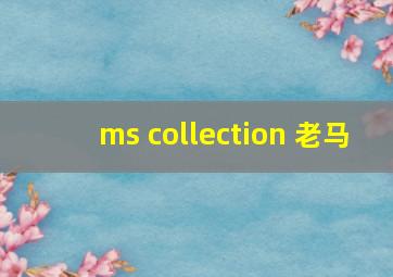 ms collection 老马