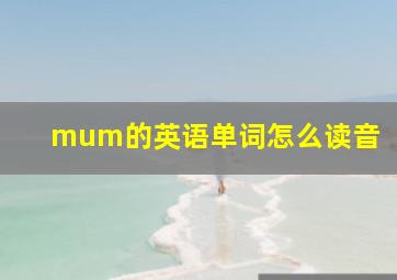 mum的英语单词怎么读音