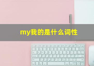 my我的是什么词性