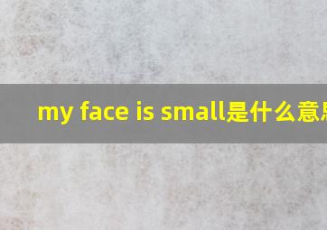 my face is small是什么意思