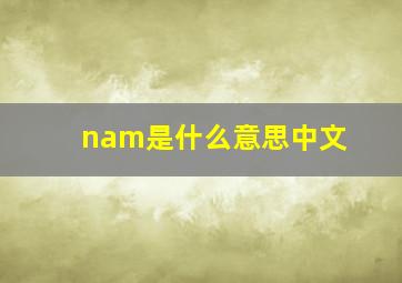 nam是什么意思中文