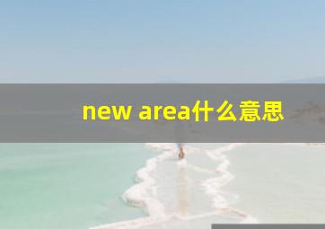 new area什么意思