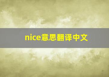 nice意思翻译中文