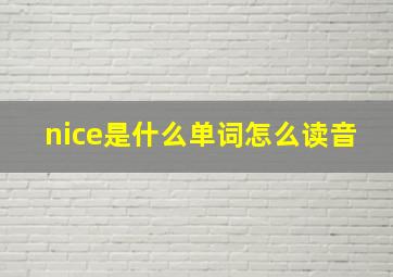 nice是什么单词怎么读音