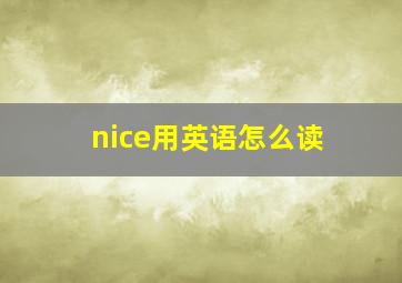 nice用英语怎么读