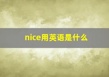 nice用英语是什么