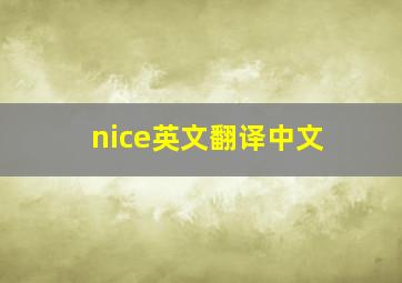 nice英文翻译中文