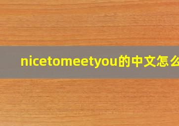 nicetomeetyou的中文怎么读