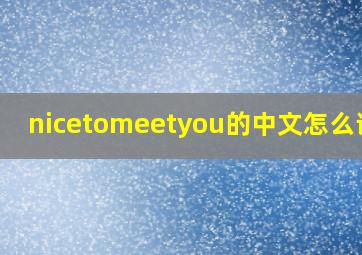 nicetomeetyou的中文怎么读的