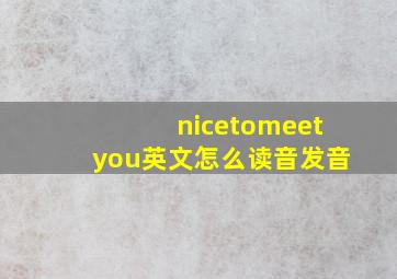 nicetomeetyou英文怎么读音发音