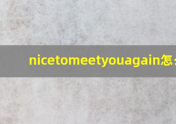 nicetomeetyouagain怎么读