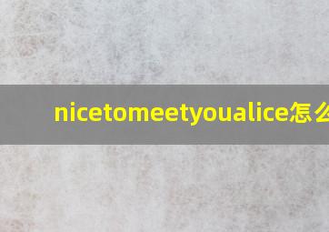 nicetomeetyoualice怎么读