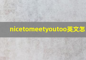 nicetomeetyoutoo英文怎么读