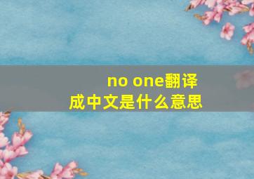 no one翻译成中文是什么意思