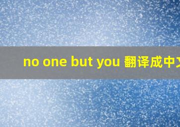 no one but you 翻译成中文