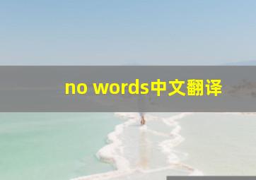 no words中文翻译