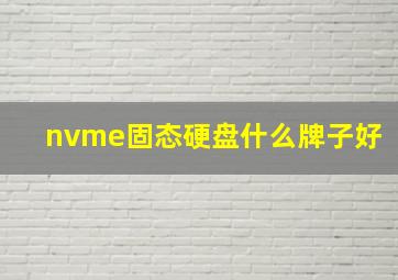 nvme固态硬盘什么牌子好