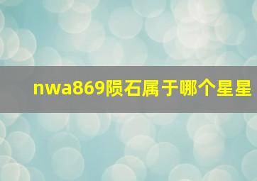 nwa869陨石属于哪个星星