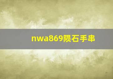 nwa869陨石手串