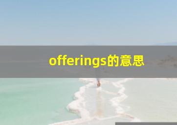 offerings的意思