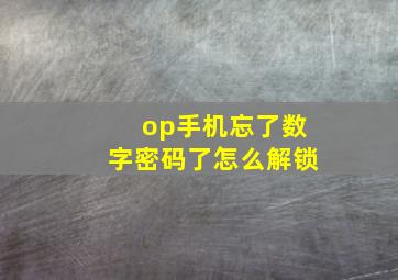 op手机忘了数字密码了怎么解锁