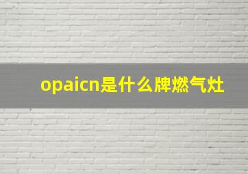 opaicn是什么牌燃气灶