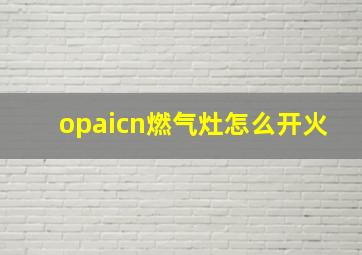 opaicn燃气灶怎么开火