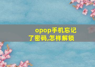 opop手机忘记了密码,怎样解锁