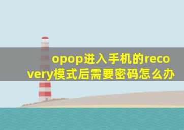 opop进入手机的recovery模式后需要密码怎么办