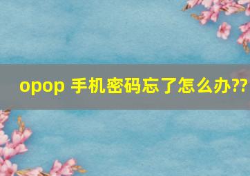 opop 手机密码忘了怎么办??