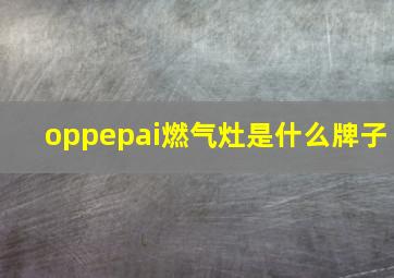 oppepai燃气灶是什么牌子