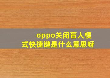 oppo关闭盲人模式快捷键是什么意思呀