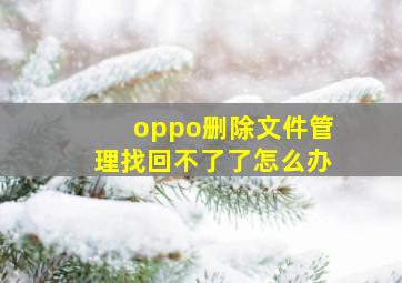 oppo删除文件管理找回不了了怎么办