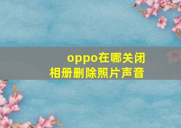 oppo在哪关闭相册删除照片声音