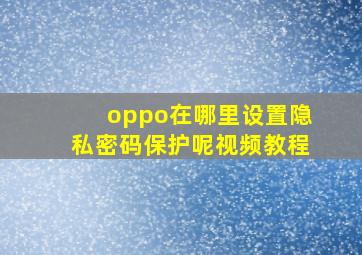 oppo在哪里设置隐私密码保护呢视频教程