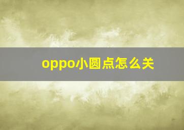 oppo小圆点怎么关