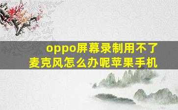 oppo屏幕录制用不了麦克风怎么办呢苹果手机