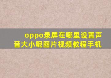 oppo录屏在哪里设置声音大小呢图片视频教程手机