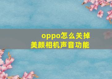 oppo怎么关掉美颜相机声音功能